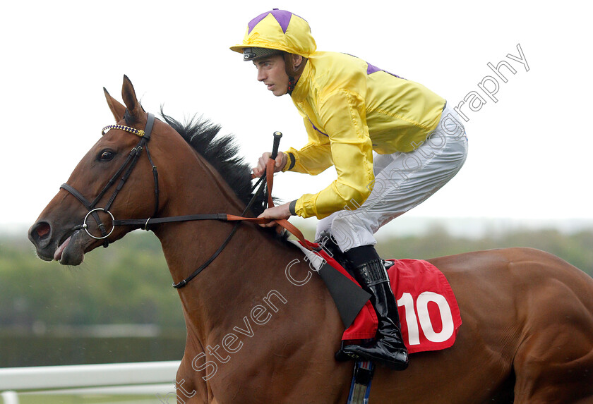 Sea-Of-Faith-0001 
 SEA OF FAITH (James Doyle) 
Sandown 26 Apr 2019 - Pic Steven Cargill / Racingfotos.com