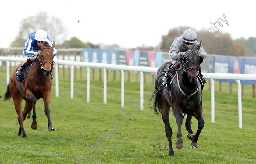 Summer-Blossom-0004 
 SUMMER BLOSSOM (Hollie Doyle) wins The Octagon Consultancy EBF Novice Stakes
Bath 17 Oct 2018 - Pic Steven Cargill / Racingfotos.com