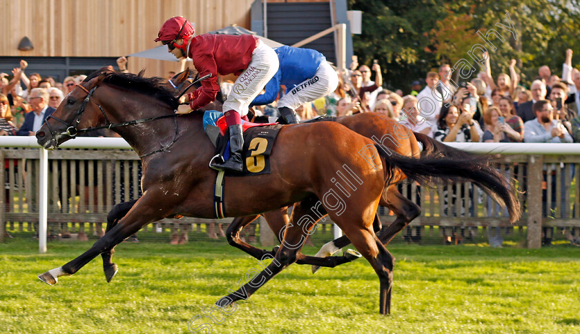 Middle-Earth-0001 
 MIDDLE EARTH (Cieren Fallon) wins The British Stallion Studs EBF Novice Stakes
Newmarket 28 Jul 2023 - Pic Steven Cargill / Racingfotos.com