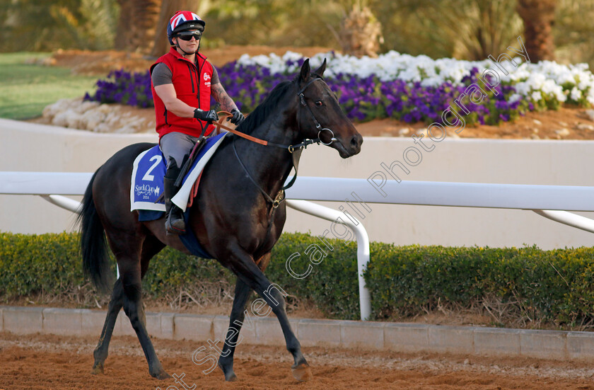 Annaf-0002 
 ANNAF training for The 1351 Turf Sprint
King Abdulaziz Racecourse, Saudi Arabia 20 Feb 2024 - Pic Steven Cargill / Racingfotos.com