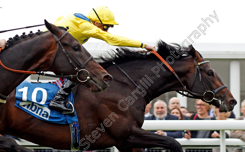 Young-Rascal-0011 
 YOUNG RASCAL (James Doyle) wins The Centennial Celebration MBNA Chester Vase Stakes Chester 9 May 2018 - Pic Steven Cargill / Racingfotos.com