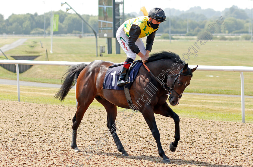 Aussie-Stormer-0001 
 AUSSIE STORMER (Shane Kelly) wins The Visit attheraces.com Novice Stakes
Wolverhampton 11 Aug 2020 - Pic Steven Cargill / Racingfotos.com