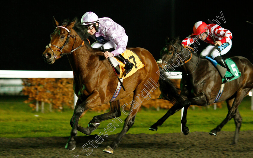 Total-Commitment-0003 
 TOTAL COMMITMENT (Adam McNamara) wins The 32Red Casino British Stallion Studs EBF Novice Stakes Div2
Kempton 5 Dec 2018 - Pic Steven Cargill / Racingfotos.com