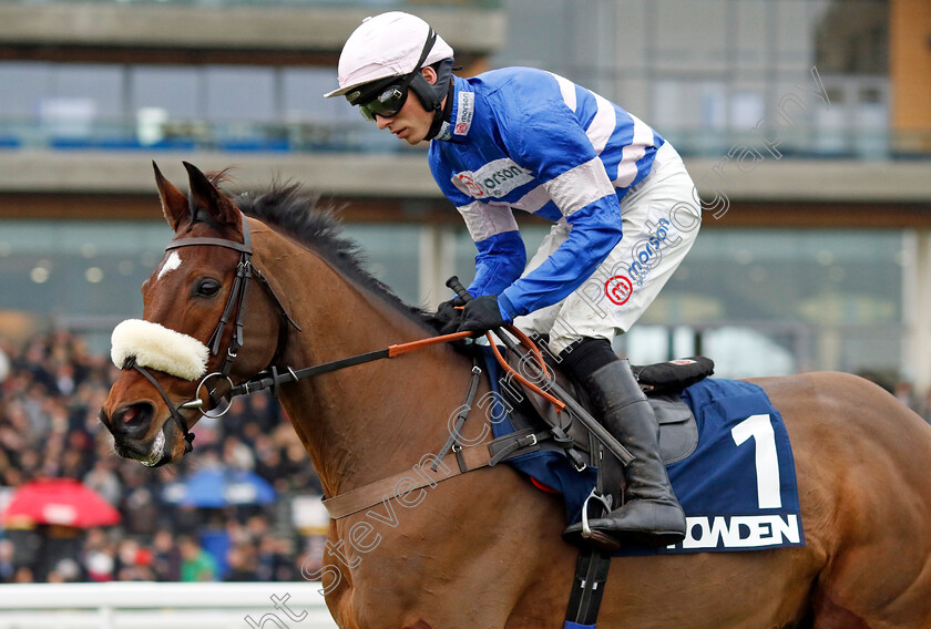 Solo-0002 
 SOLO (Harry Cobden)
Ascot 21 Dec 2024 - Pic Steven Cargill / Racingfotos.com