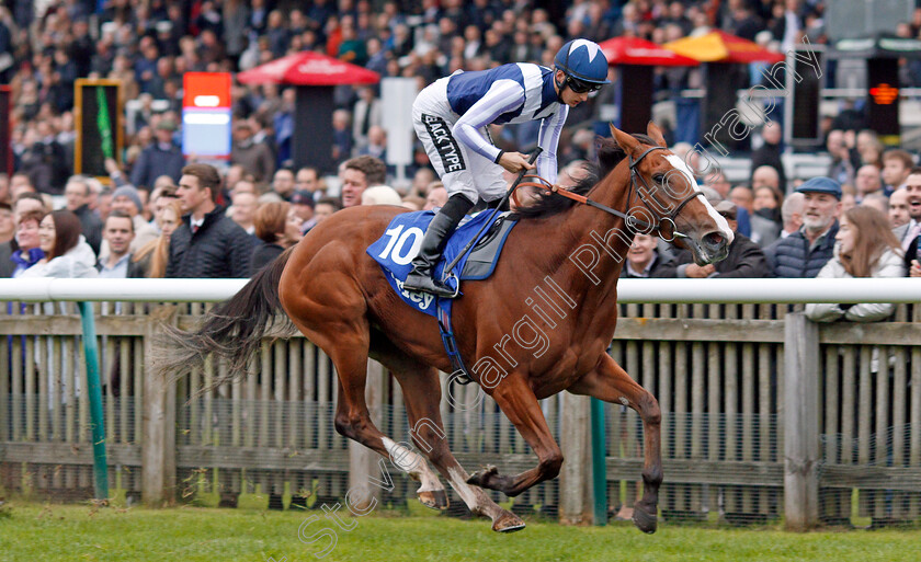 Feliciana-De-Vega-0004 
 FELICIANA DE VEGA (Harry Bentley) wins The Darley Stakes
Newmarket 12 Oct 2019 - Pic Steven Cargill / Racingfotos.com