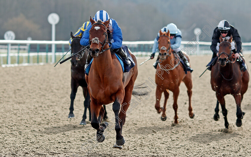 Ahdab-0006 
 AHDAB (Ryan Moore) wins The Bombardier March To Your Own Drum Novice Stakes
Lingfield 13 Feb 2021 - Pic Steven Cargill / Racingfotos.com