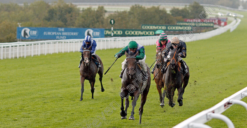 Oti-Ma-Boati-0002 
 OTI MA BOATI (James Doyle) wins The Ladbrokes Get Your Daily Odds Boost Fillies Handicap
Goodwood 28 Aug 2020 - Pic Steven Cargill / Racingfotos.com