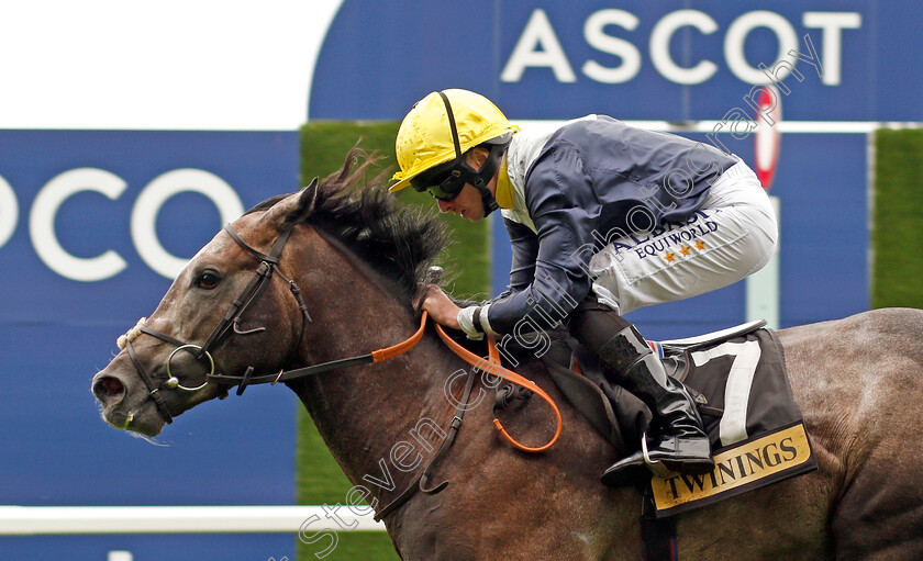 Speak-In-Colours-0008 
 SPEAK IN COLOURS (Ryan Moore) wins The Twinings Novice Auction Stakes Div1 Ascot 8 Sep 2017 - Pic Steven Cargill / Racingfotos.com