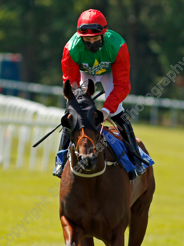 Elegant-Erin-0001 
 ELEGANT ERIN (Pat Dobbs)
Salisbury 8 Jun 2021 - Pic Steven Cargill / Racingfotos.com