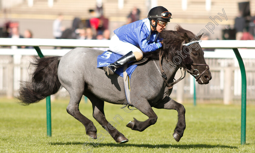 Briar-Smokey-Joe-0006 
 BRIAR SMOKEY JOE (Zac Kent) wins The Shetland Pony Grand National Flat Race
Newmarket 28 Sep 2018 - Pic Steven Cargill / Racingfotos.com