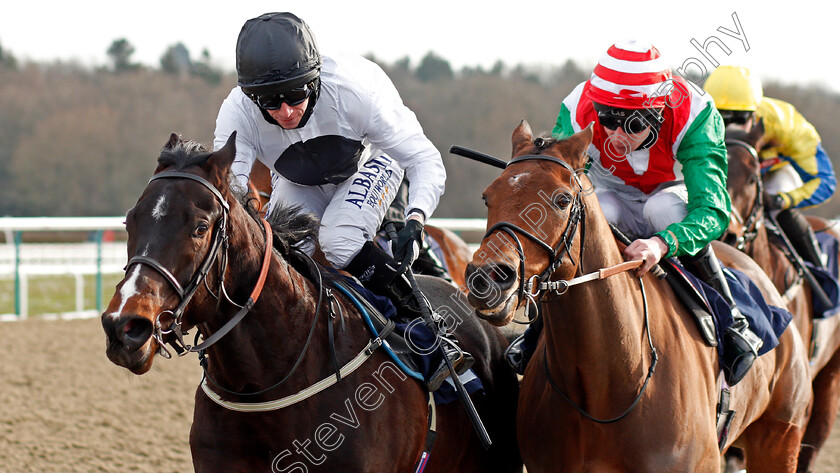 Crackling-0004 
 CRACKLING (left, Ryan Moore) beats APEX KING (right) in The Bombardier British Hopped Amber Beer Handicap
Lingfield 13 Feb 2021 - Pic Steven Cargill / Racingfotos.com