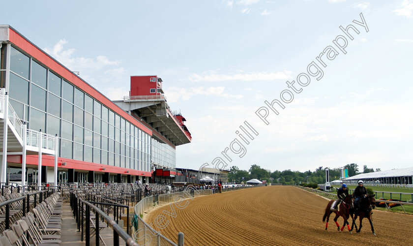 Bodexpress-0001 
 BODEXPRESS exercising in preparation for the Preakness Stakes
Pimlico, Baltimore USA, 16 May 2019 - Pic Steven Cargill / Racingfotos.com