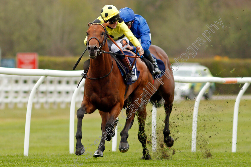 Third-Realm-0003 
 THIRD REALM (David Egan) wins The Novibet Derby Trial Stakes
Lingfield 8 May 2021 - Pic Steven Cargill / Racingfotos.com