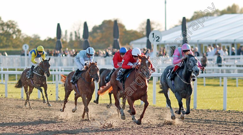 Protest-0004 
 PROTEST (Jack Mitchell) wins The Juddmonte EBF Fillies Restricted Novice Stakes
Chelmsford 3 Oct 2024 - Pic Steven Cargill / Racingfotos.com