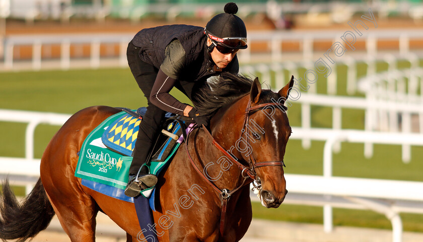 Country-Grammer-0008 
 COUNTRY GRAMMER training for The Saudi Cup
King Abdulaziz Racecourse, Kingdom Of Saudi Arabia, 23 Feb 2023 - Pic Steven Cargill / Racingfotos.com