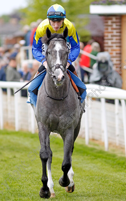 Dragon-Symbol-0001 
 DRAGON SYMBOL (David Egan)
York 11 May 2022 - Pic Steven Cargill / Racingfotos.com