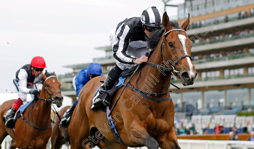 Grande-Dame-0006 
 GRANDE DAME (Ryan Moore) wins The Naas Racecourse Royal Ascot Trials Day British EBF Fillies Stakes
Ascot 27 Apr 2022 - Pic Steven Cargill / Racingfotos.com