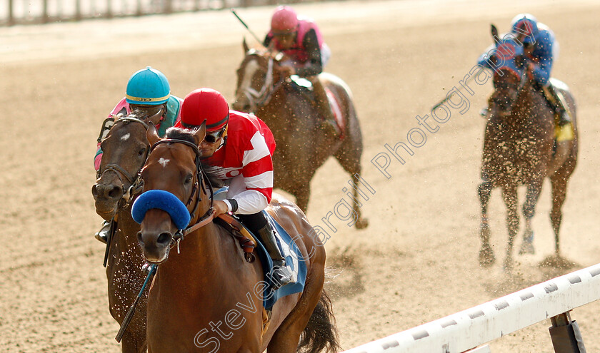 Rowayton-0002 
 ROWAYTON (Joel Rosario) wins Allowance
Belmont Park USA, 6 Jun 2019 - Pic Steven Cargill / Racingfotos.com