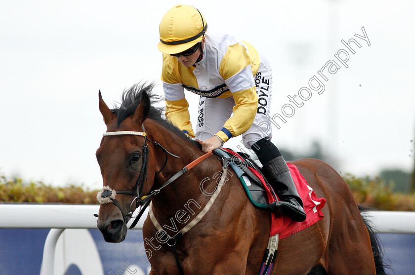 Quiet-Endeavour-0008 
 QUIET ENDEAVOUR (Hollie Doyle) wins The Call Star Sports On 08000 521 321 Nursery
Kempton 15 Aug 2018 - Pic Steven Cargill / Racingfotos.com