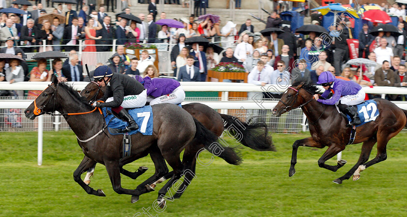 Magical-Max-0005 
 MAGICAL MAX (Andrew Mullen) wins The Reg Griffin Appreciation EBFstallions.com Maiden Stakes
York 15 Jun 2019 - Pic Steven Cargill / Racingfotos.com