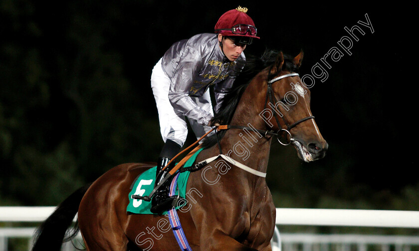 Al-Kherb-0002 
 AL KHERB (Kieran Shoemark)
Kempton 27 Sep 2018 - Pic Steven Cargill / Racingfotos.com