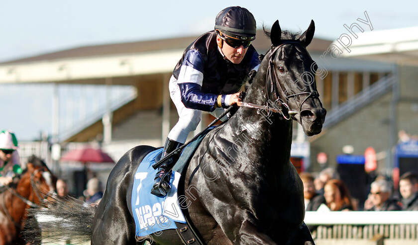 Topgear-0002 
 TOPGEAR (Stephane Pasquier) wins The Thoroughbred Industry Employee Awards Challenge Stakes
Newmarket 11 Oct 2024 - pic Steven Cargill / Racingfotos.com