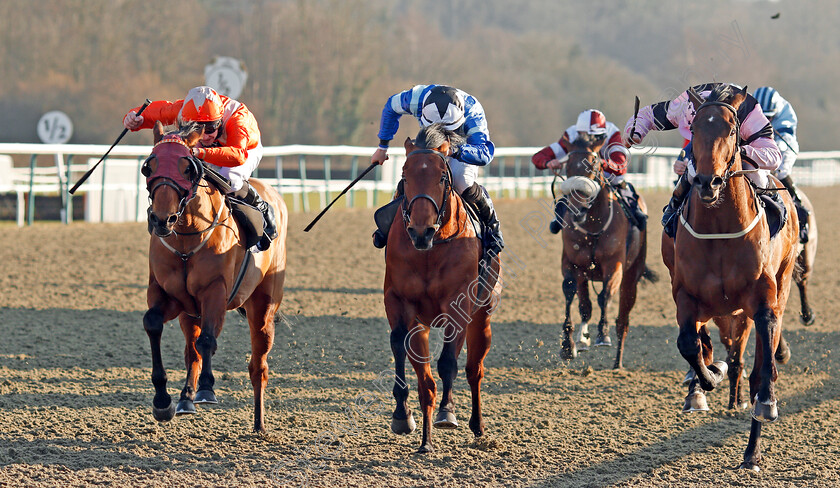 Goring-0001 
 GORING (left, Charles Bishop) beats MR SCARAMANGA (centre) and SEA FOX (right) in The Play Starburst Slot At sunbets.co.uk/vegas Handicap Lingfield 24 Feb 2018 - Pic Steven Cargill / Racingfotos.com