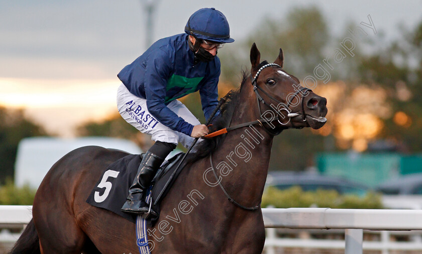 Capla-Knight-0001 
 CAPLA KNIGHT (Tom Marquand) winner of The tote Placepot Your First Bet Claiming Stakes
Chlemsford 8 Oct 2020 - Pic Steven Cargill / Racingfotos.com