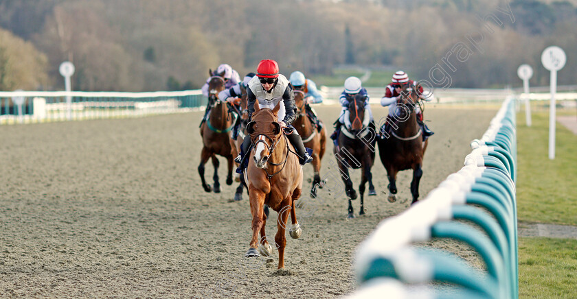 Caribeno-0002 
 CARIBENO (Morgan Cole) wins The Betway Apprentice Handicap (Hands and Heels Final)
Lingfield 6 Mar 2021 - Pic Steven Cargill / Racingfotos.com