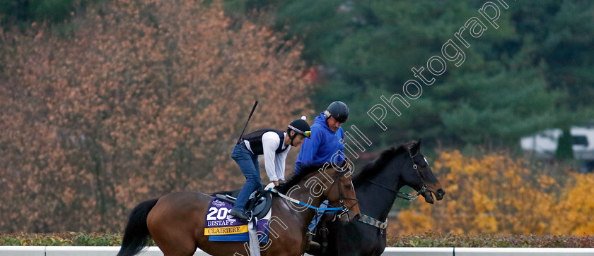 Clairiere-0001 
 CLAIRIERE training for the Breeders' Cup Distaff
Keeneland, USA 31 Oct 2022 - Pic Steven Cargill / Racingfotos.com