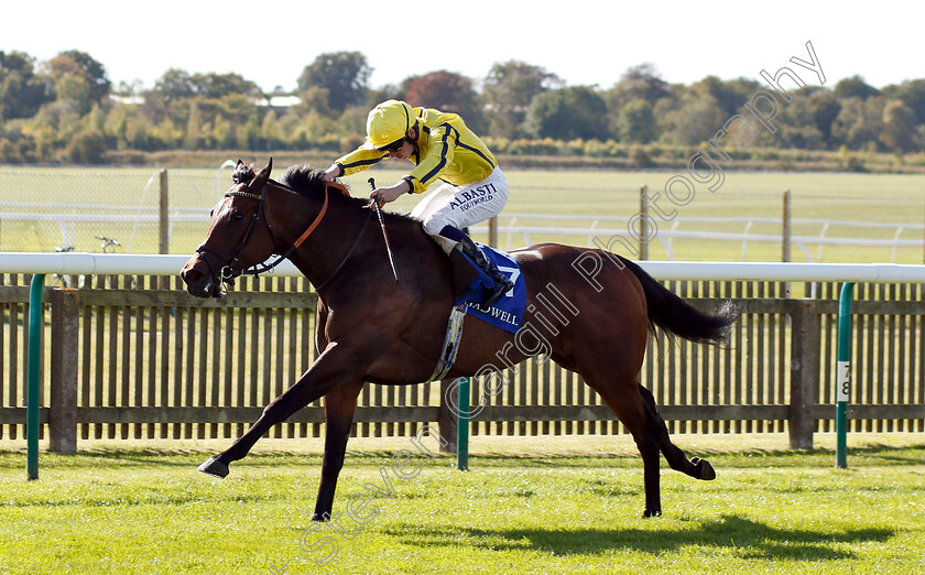 Beshaayir-0003 
 BESHAAYIR (Oisin Murphy) wins The Muhaarar British EBF Rosemary Stakes
Newmarket 28 Sep 2018 - Pic Steven Cargill / Racingfotos.com