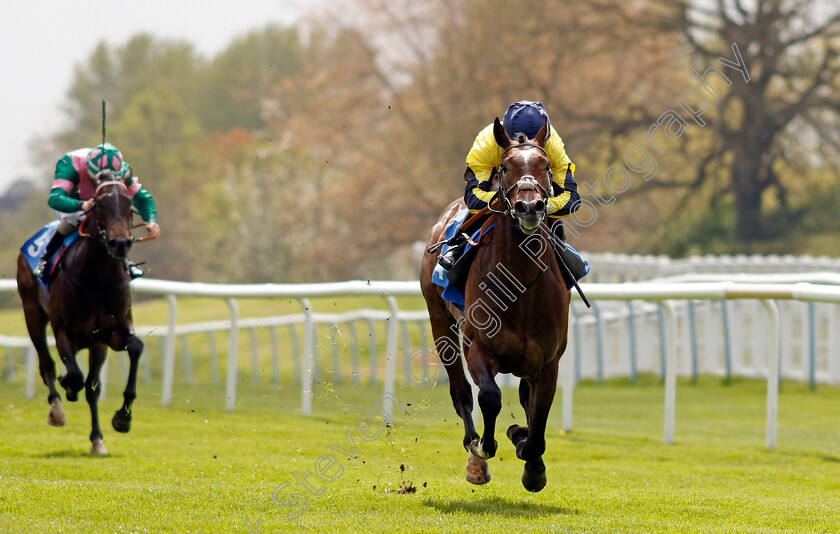 Spanish-Phoenix-0006 
 SPANISH PHOENIX (Oisin Murphy) wins The Atlantic Pale Ale Maiden Stakes
Leicester 29 Apr 2023 - Pic Steven Cargill / Racingfotos.com