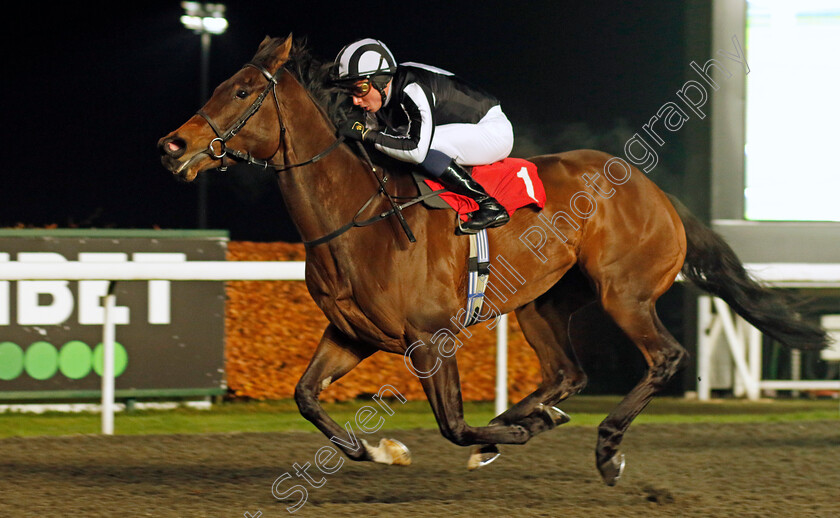 Twirling-0002 
 TWIRLING (William Buick) wins The Unibet Support Safe Gambling Fillies Novice Stakes
Kempton 6 Dec 2023 - Pic Steven Cargill / Racingfotos.com