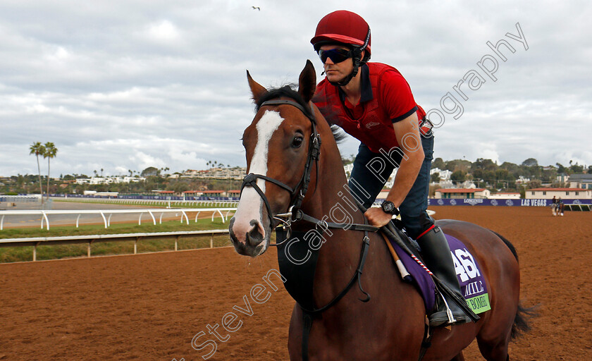 Lancaster-Bomber-0001 
 LANCASTER BOMBER training for The Breeders' Cup Dirt Mile at Del Mar 2 Nov 2017 - Pic Steven Cargill / Racingfotos.com