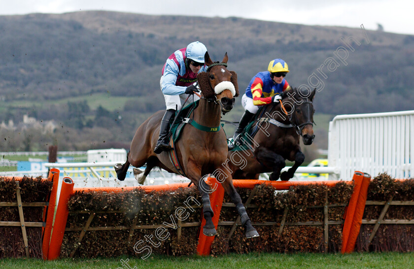 Nautical-Nitwit-0001 
 NAUTICAL NITWIT (Danny Cook)
Cheltenham 1 Jan 2019 - Pic Steven Cargill / Racingfotos.com