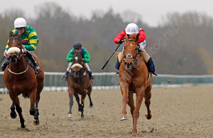 Harry s-Bar-0003 
 HARRY'S BAR (right, Andrea Atzeni) beats TOTAL COMMITMENT (left) in The Heed Your Hunch At Betway Handicap
Lingfield 15 Feb 2020 - Pic Steven Cargill / Racingfotos.com