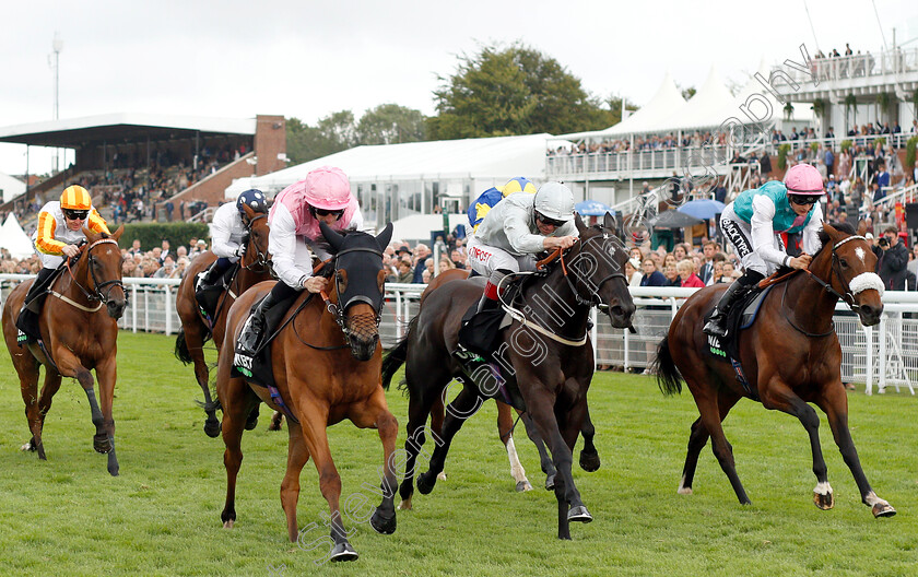 Maid-For-Life-0002 
 MAID FOR LIFE (left, P J McDonald) beats WARNING FIRE (centre) and CHALEUR (right) in The Unibet Fillies Handicap
Goodwood 30 Jul 2019 - Pic Steven Cargill / Racingfotos.com