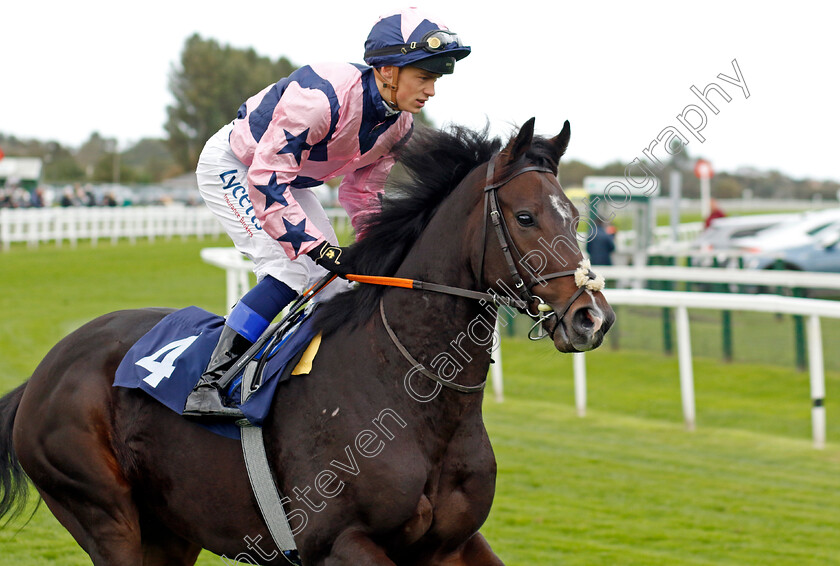 Fully-Deployed-0001 
 FULLY DEPLOYED (Benoit de la Sayette)
Yarmouth 16 Oct 2023 - Pic Steven Cargill / Racingfotos.com