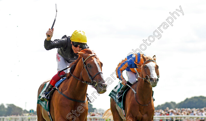 Stradivarius-0007 
 STRADIVARIUS (Frankie Dettori) wins The Weatherbys Hamilton Lonsdale Cup
York 23 Aug 2019 - Pic Steven Cargill / Racingfotos.com