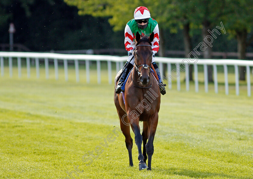 Absolute-Altitude-0001 
 ABSOLUTE ALTITUDE (Stevie Donohoe)
Salisbury 11 Jul 2020 - Pic Steven Cargill / Racingfotos.com