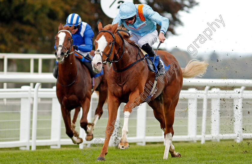 The-Rosstafarian-0005 
 THE ROSSTAFARIAN (James Doyle) wins The PKF Francis Clark British EBF Novice Stakes Div2
Salisbury 1 Oct 2020 - Pic Steven Cargill / Racingfotos.com