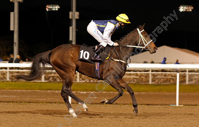 Raziel-0001 
 RAZIEL (Rhiain Ingram)
Chelmsford 15 Oct 2020 - Pic Steven Cargill / Racingfotos.com