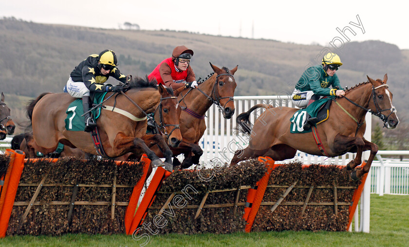 Manvers-House-0001 
 MANVERS HOUSE (left, James Best) with ECU DE LA NOVERIE (centre) and ROBINSHILL (right)
Cheltenham 13 Dec 2019 - Pic Steven Cargill / Racingfotos.com