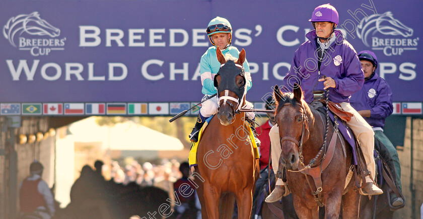 British-Idiom-0001 
 BRITISH IDIOM (Javier Castellano) before The Breeders' Cup Juvenile Fillies
Santa Anita USA 1 Nov 2019 - Pic Steven Cargill / Racingfotos.com