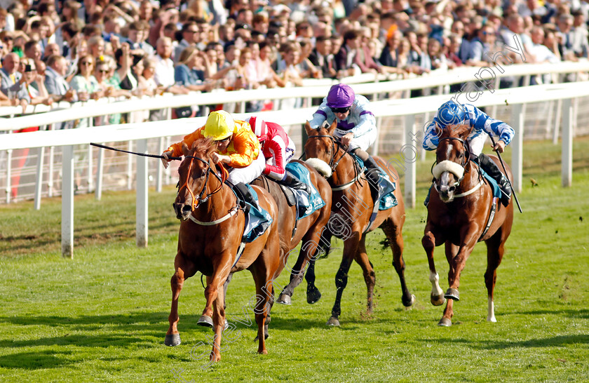 Treasure-Trove-0001 
 TREASURE TROVE (W J Lee) wins The Julia Graves Roses Stakes
York 20 Aug 2022 - Pic Steven Cargill / Racingfotos.com