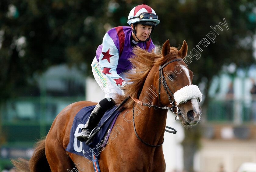 Alrazeen-0002 
 ALRAZEEN (Hayley Turner)
Yarmouth 17 Sep 2024 - Pic Steven Cargill / Racingfotos.com