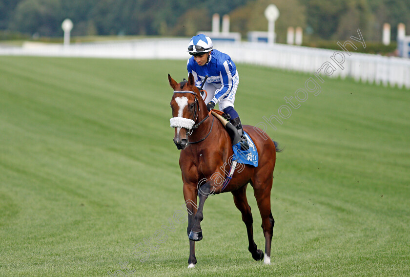 Kingsofthemidlands-0002 
 KINGSOFTHEMIDLANDS (Silvestre De Sousa)
Ascot 1 Oct 2021 - Pic Steven Cargill / Racingfotos.com