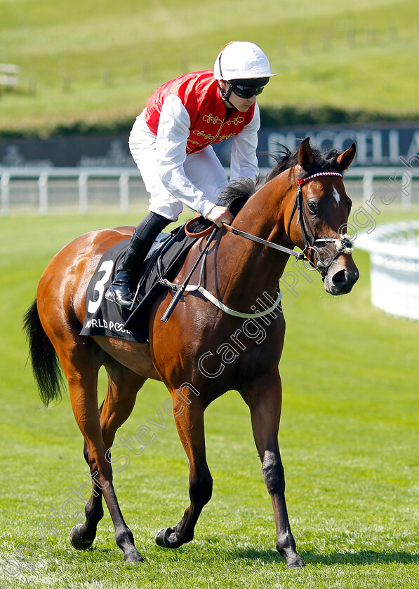 Arabian-Sun-0001 
 ARABIAN SUN (Richard Kingscote)
Goodwood 30 Jul 2024 - Pic Steven Cargill / Racingfotos.com