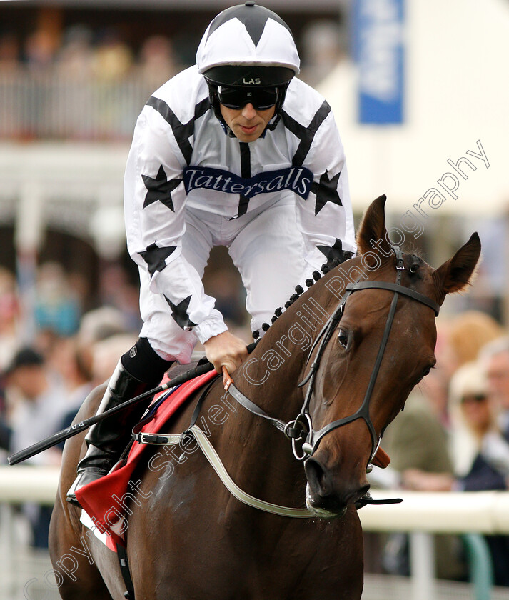 Little-Kim-0001 
 LITTLE KIM (Ben Curtis)
York 23 Aug 2018 - Pic Steven Cargill / Racingfotos.com