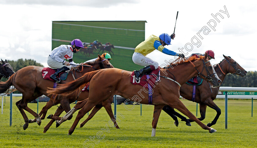 Molls-Memory-0003 
 MOLLS MEMORY (nearside, Oisin Murphy) wins The Casumo Horse Racing And Sports Betting Handicap
Haydock 22 May 2021 - Pic Steven Cargill / Racingfotos.com